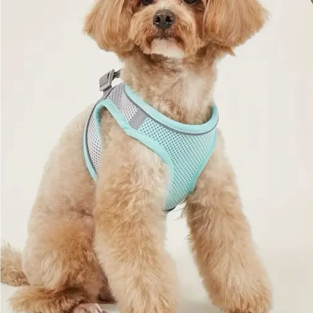 Dog harness